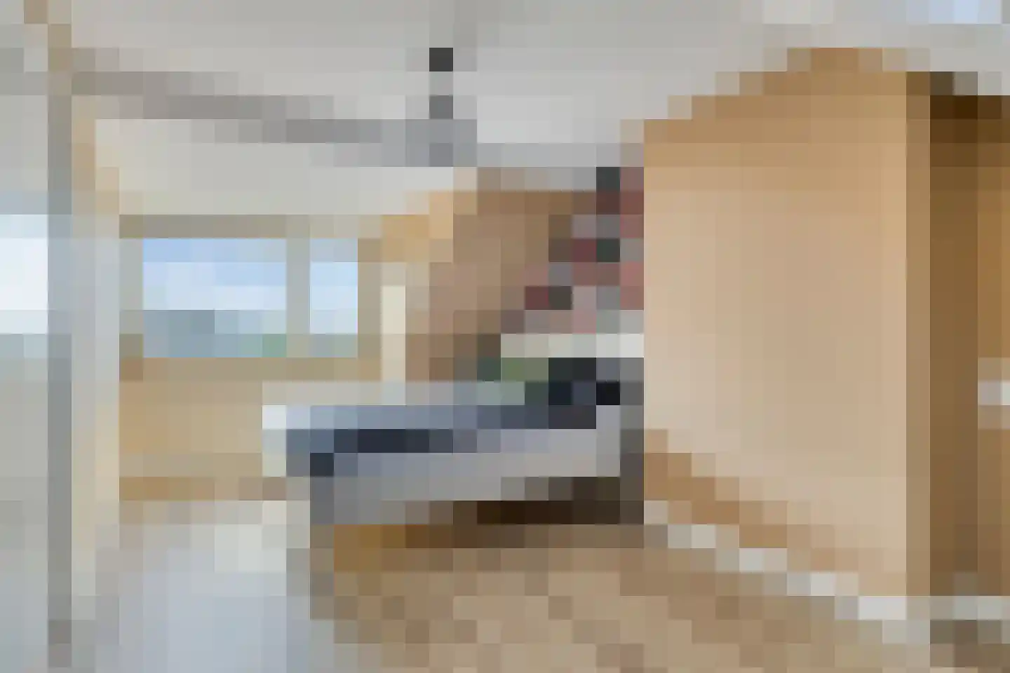 Adriaen van Ostadelaan 33 Bis Veenendaal thumbnail 19
