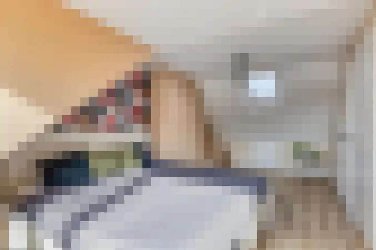 Adriaen van Ostadelaan 33 Bis Veenendaal thumbnail 20