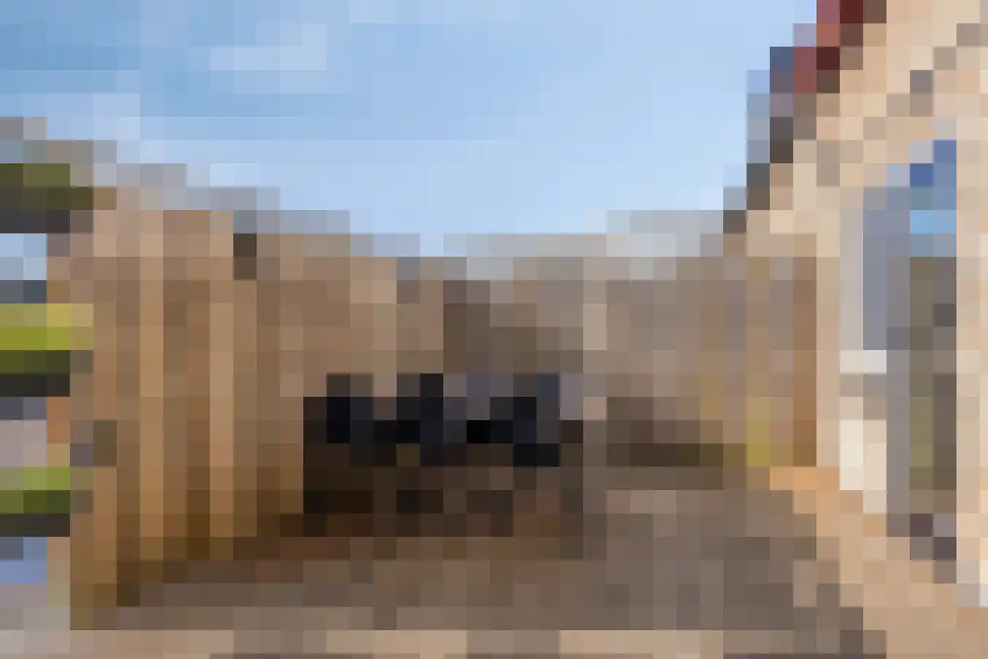 Adriaen van Ostadelaan 33 Bis Veenendaal thumbnail 23