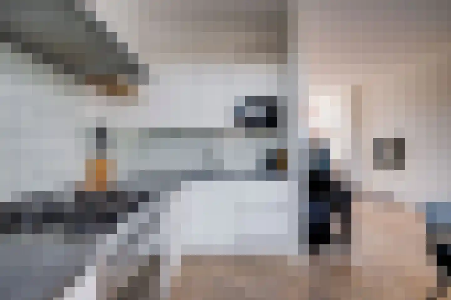 Adriaen van Ostadelaan 41 BS Utrecht thumbnail 13