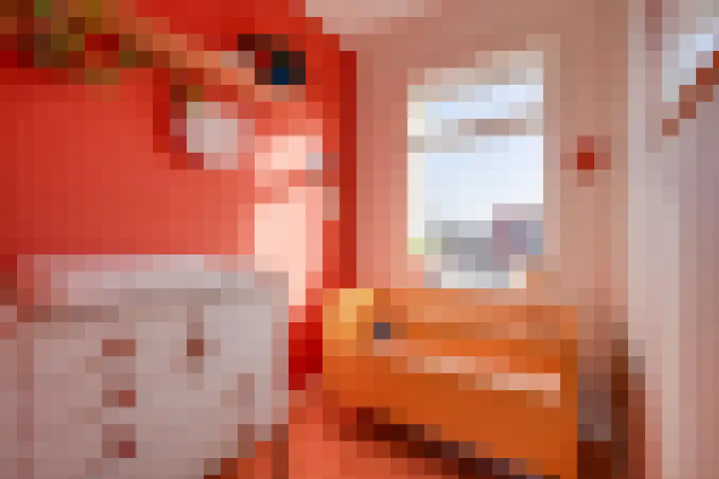 Adriaen van Ostadelaan 41 BS Utrecht thumbnail 23
