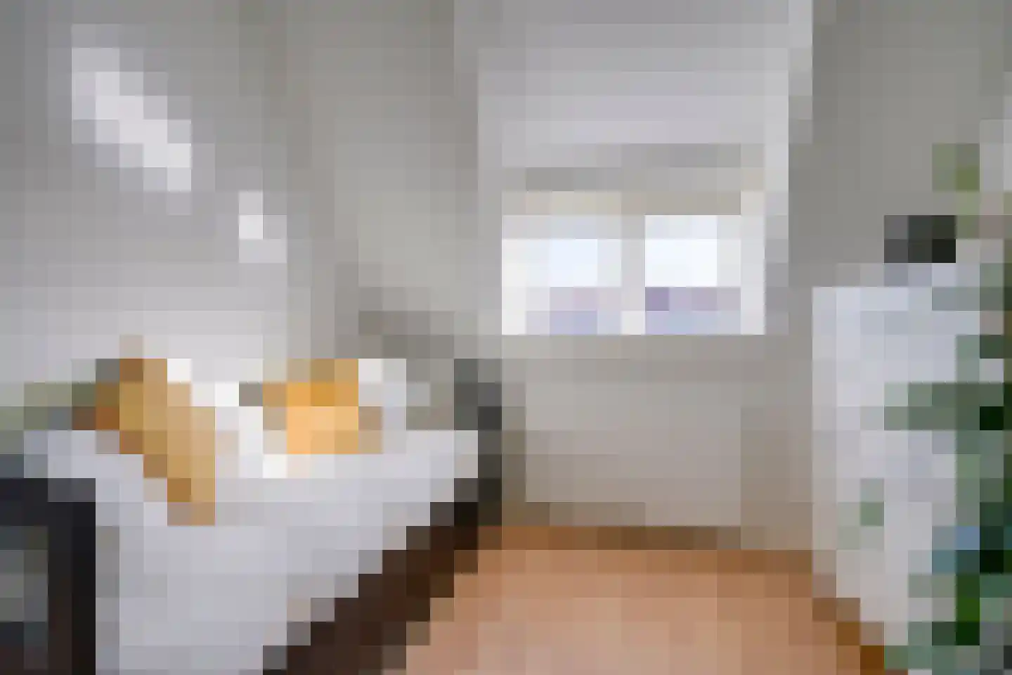Adriaen van Ostadelaan 41 BS Utrecht thumbnail 26