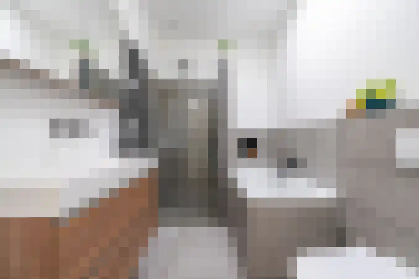Adriaen van Ostadelaan 41 BS Utrecht thumbnail 31