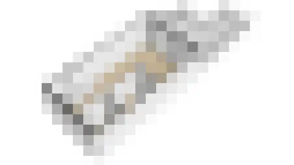 Adriaen van Ostadelaan 41 BS Utrecht thumbnail 38