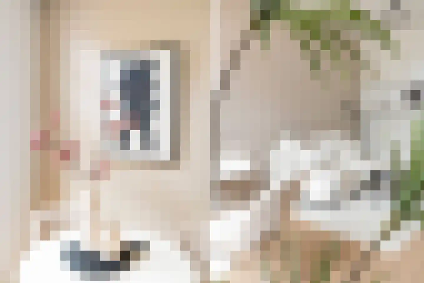 Adriaen van Ostadelaan 43 A Utrecht thumbnail 10