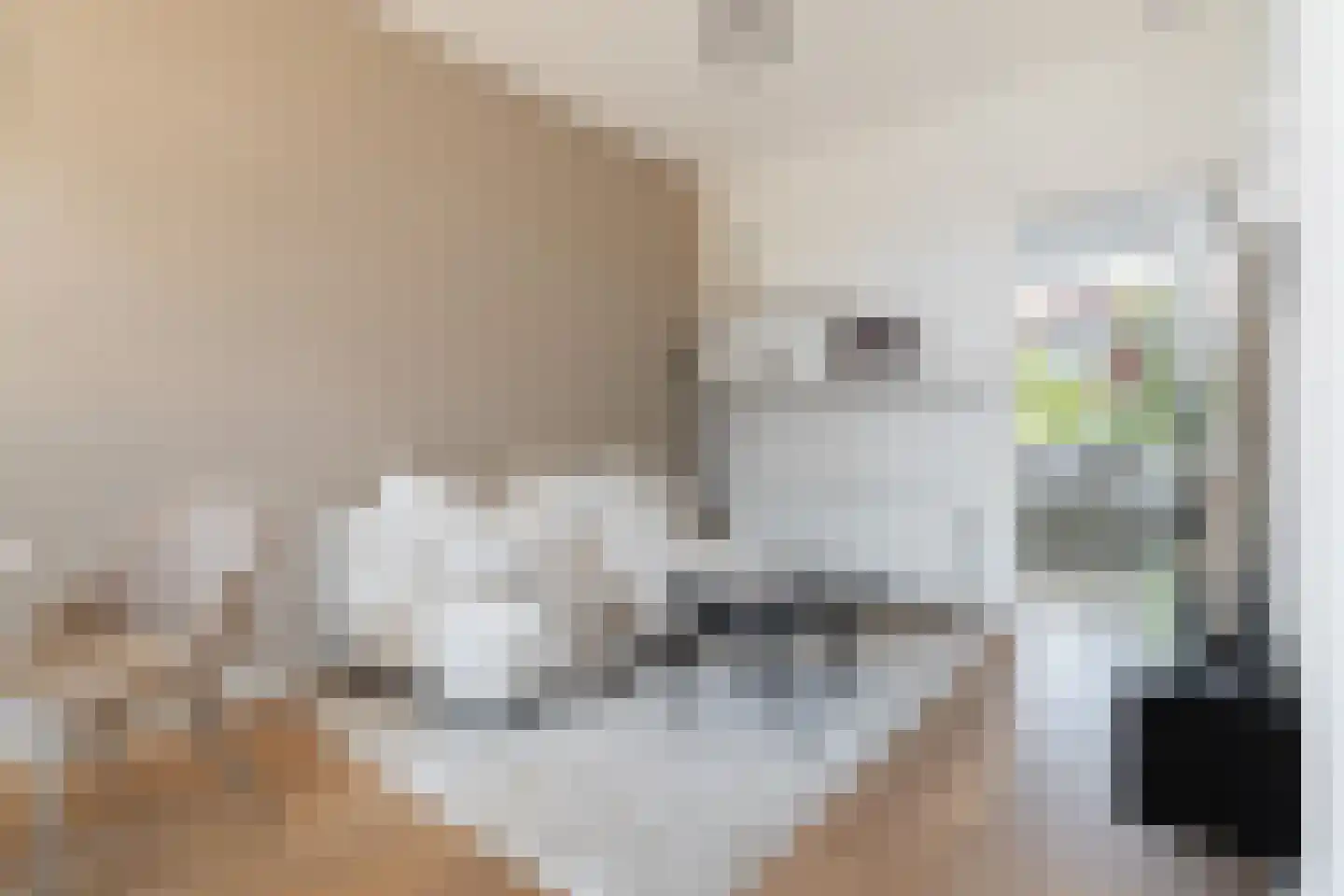 Adriaen van Ostadelaan 43 A Utrecht thumbnail 12