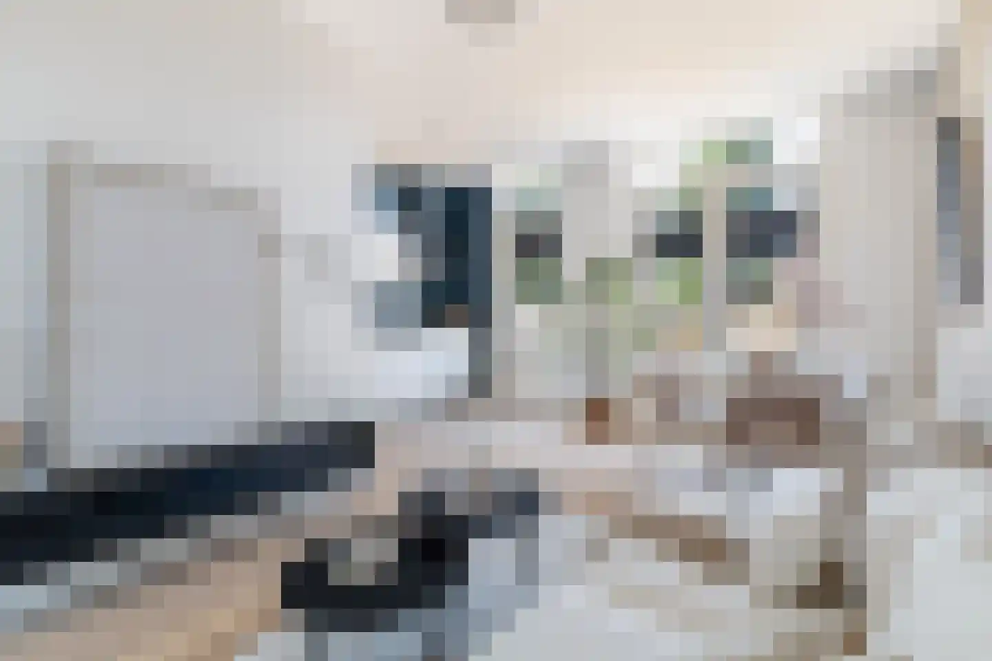Adriaen van Ostadelaan 43 A Utrecht thumbnail 13