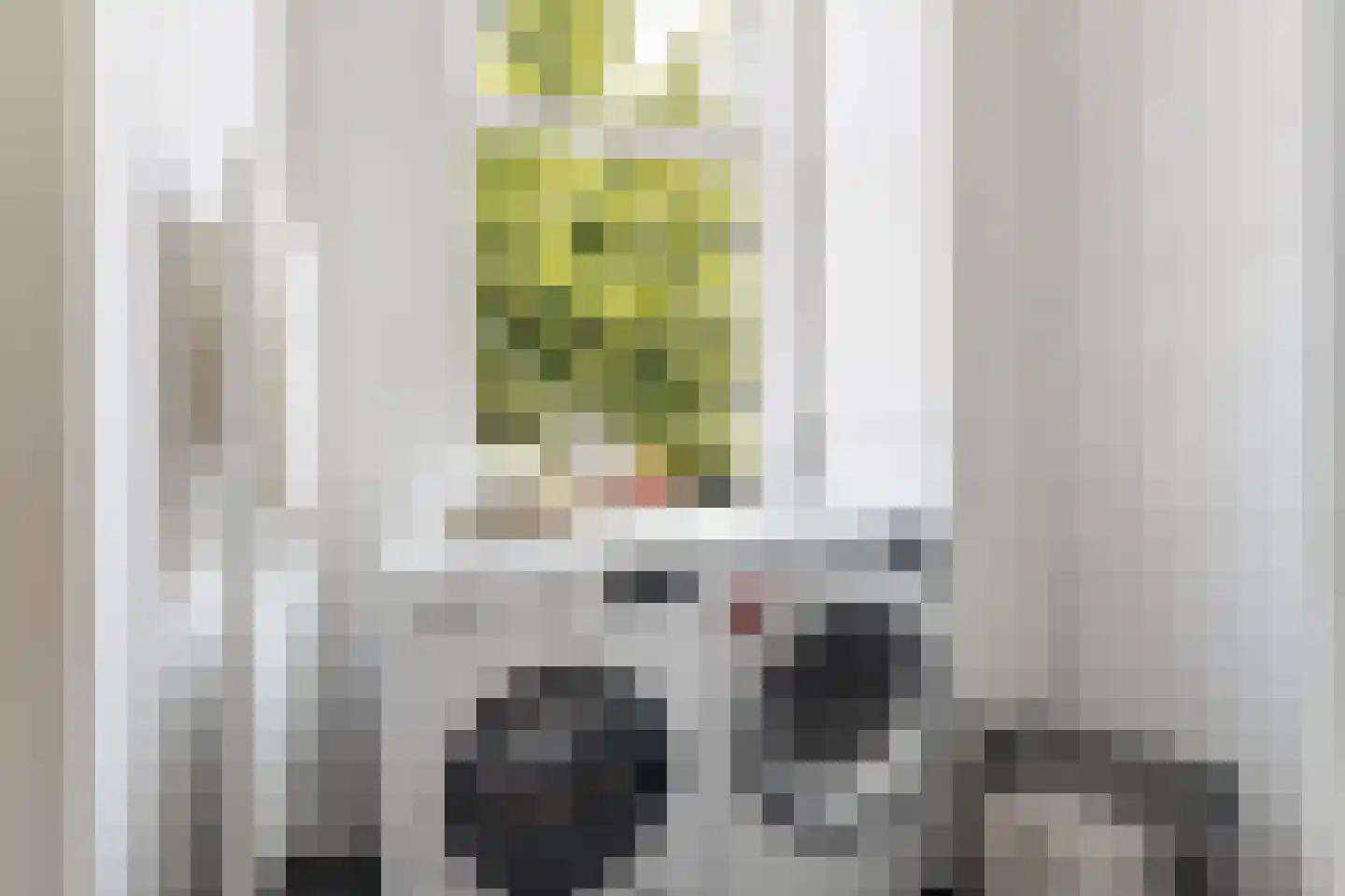 Adriaen van Ostadelaan 43 A Utrecht thumbnail 26