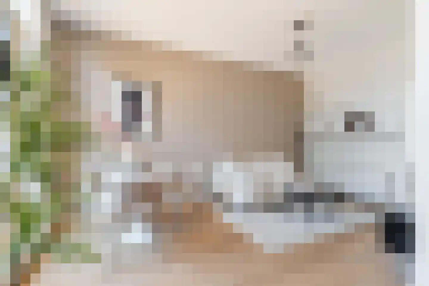Adriaen van Ostadelaan 43 A Utrecht thumbnail 8