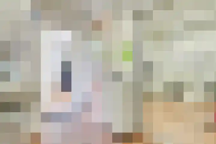 Adriaen van Ostadelaan 46 Utrecht thumbnail 10