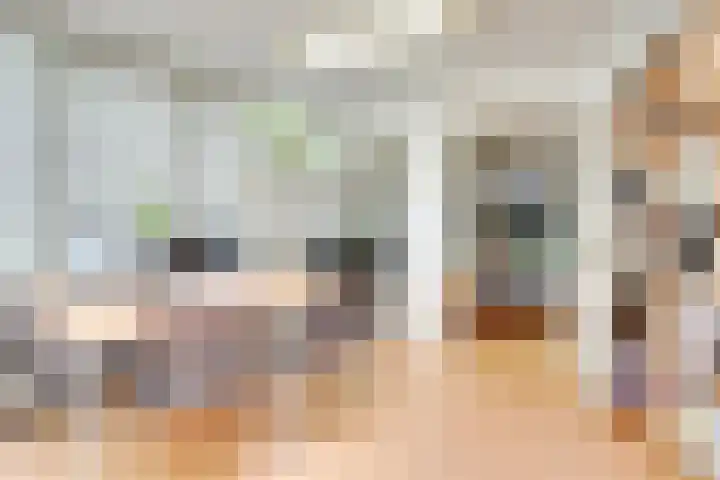 Adriaen van Ostadelaan 46 Utrecht thumbnail 12