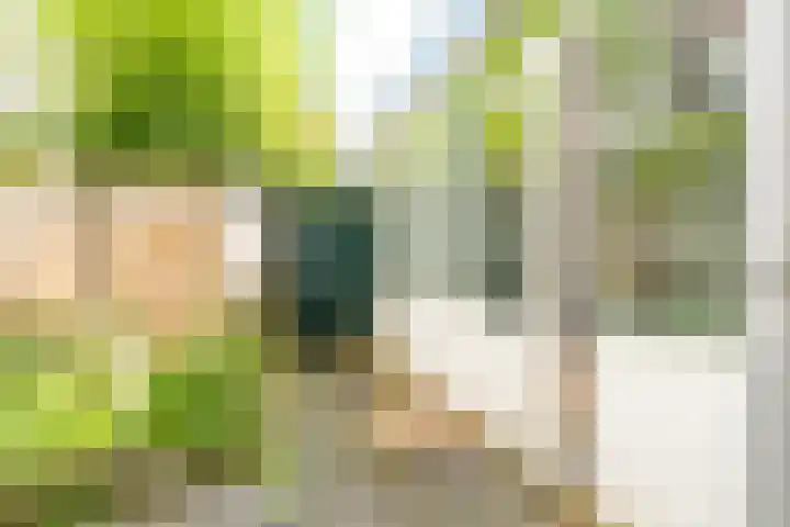Adriaen van Ostadelaan 46 Utrecht thumbnail 15