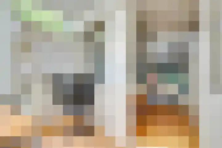 Adriaen van Ostadelaan 46 Utrecht thumbnail 17