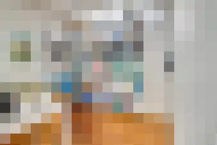 Adriaen van Ostadelaan 46 Utrecht thumbnail 18