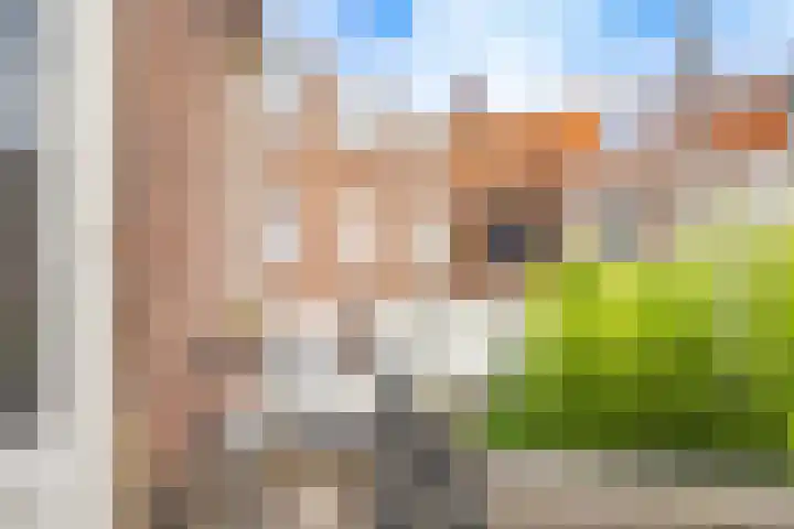 Adriaen van Ostadelaan 46 Utrecht thumbnail 26