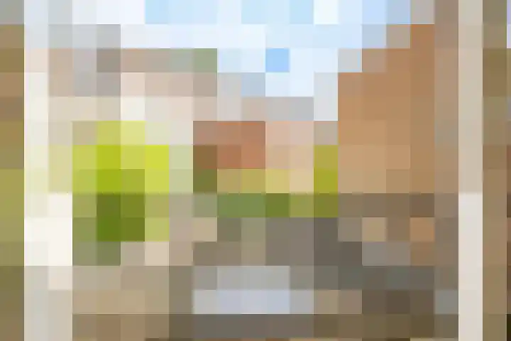 Adriaen van Ostadelaan 46 Utrecht thumbnail 27