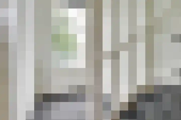 Adriaen van Ostadelaan 46 Utrecht thumbnail 32