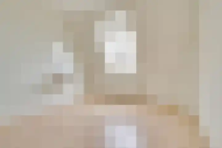 Adriaen van Ostadelaan 46 Utrecht thumbnail 36