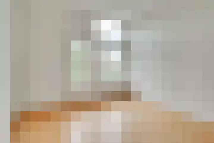 Adriaen van Ostadelaan 46 Utrecht thumbnail 38