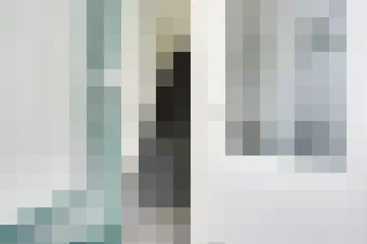Adriaen van Ostadelaan 46 Utrecht thumbnail 46