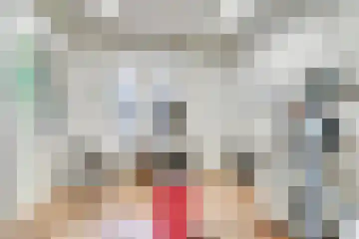 Adriaen van Ostadelaan 46 Utrecht thumbnail 5