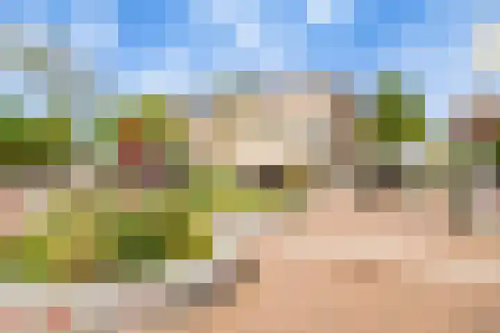 Adriaen van Ostadelaan 46 Utrecht thumbnail 50