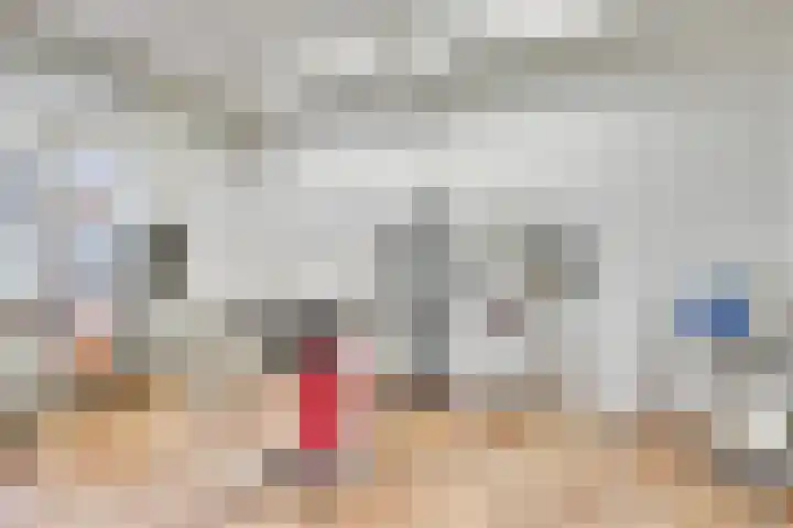 Adriaen van Ostadelaan 46 Utrecht thumbnail 6