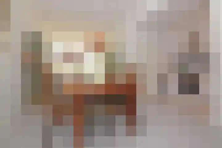 Adriaen van Ostadelaan 52 Utrecht thumbnail 10