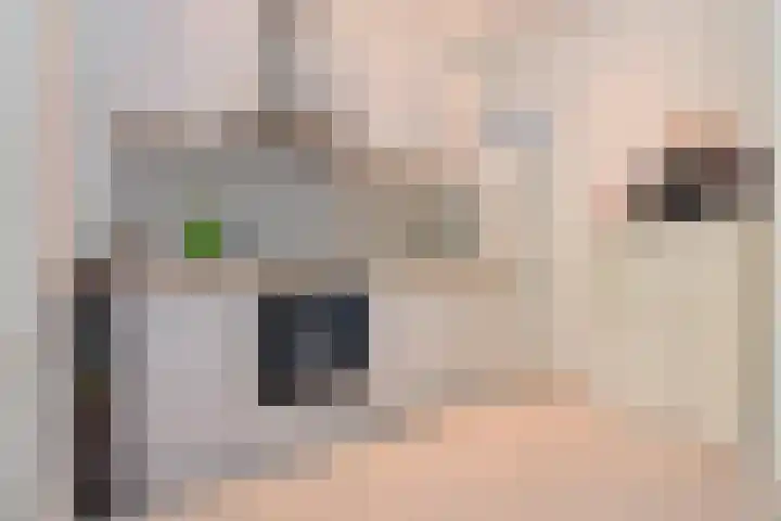 Adriaen van Ostadelaan 52 Utrecht thumbnail 11