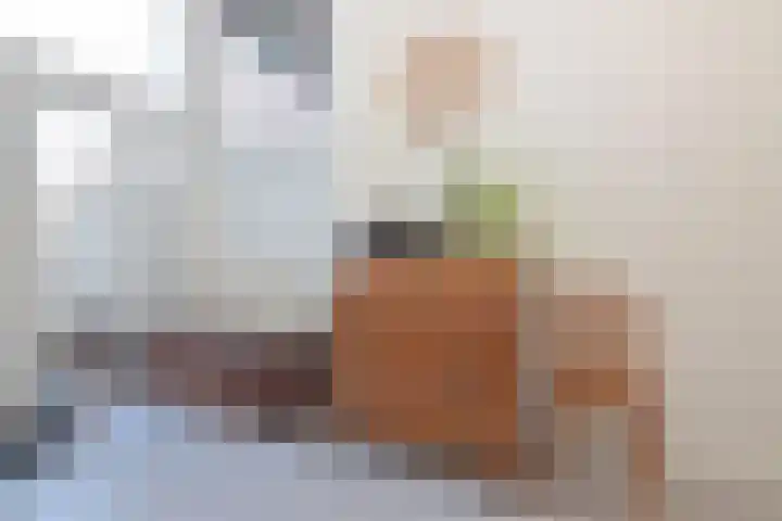 Adriaen van Ostadelaan 52 Utrecht thumbnail 12