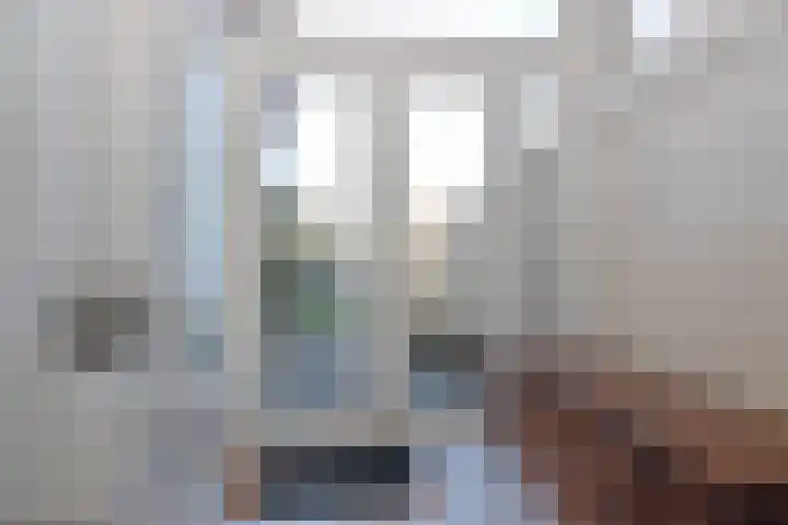 Adriaen van Ostadelaan 52 Utrecht thumbnail 13