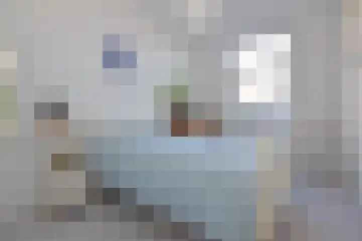 Adriaen van Ostadelaan 52 Utrecht thumbnail 15