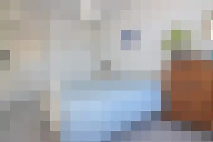 Adriaen van Ostadelaan 52 Utrecht thumbnail 16
