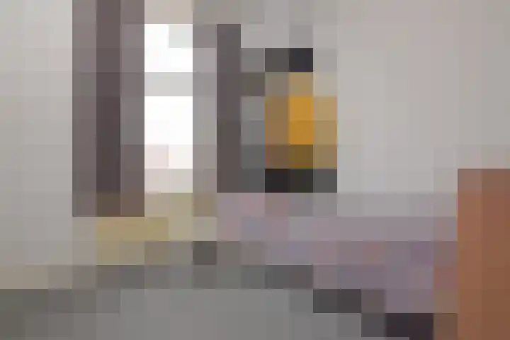 Adriaen van Ostadelaan 52 Utrecht thumbnail 20