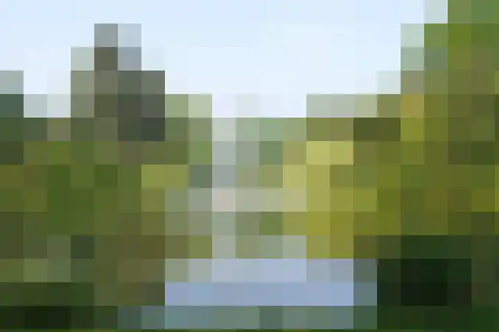 Adriaen van Ostadelaan 52 Utrecht thumbnail 27