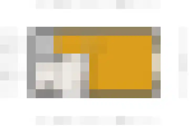 Adriaen van Ostadelaan 52 Utrecht thumbnail 30