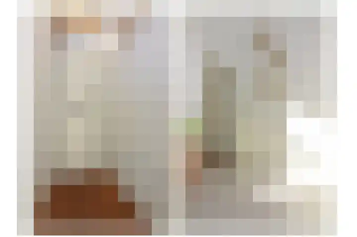 Adriaen van Ostadelaan 52 Utrecht thumbnail 4