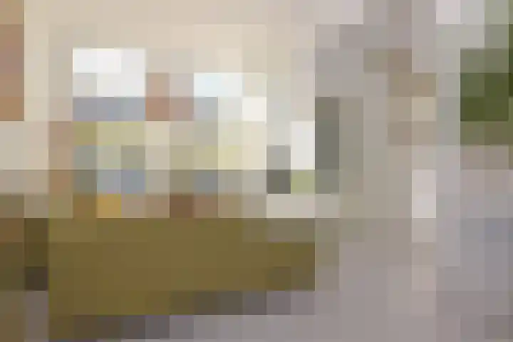 Adriaen van Ostadelaan 52 Utrecht thumbnail 5
