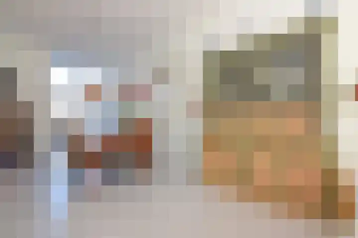 Adriaen van Ostadelaan 52 Utrecht thumbnail 7