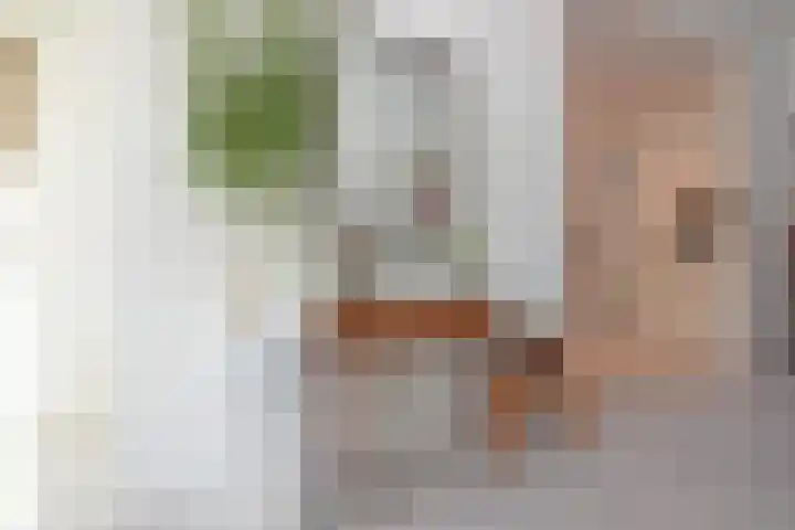 Adriaen van Ostadelaan 52 Utrecht thumbnail 9