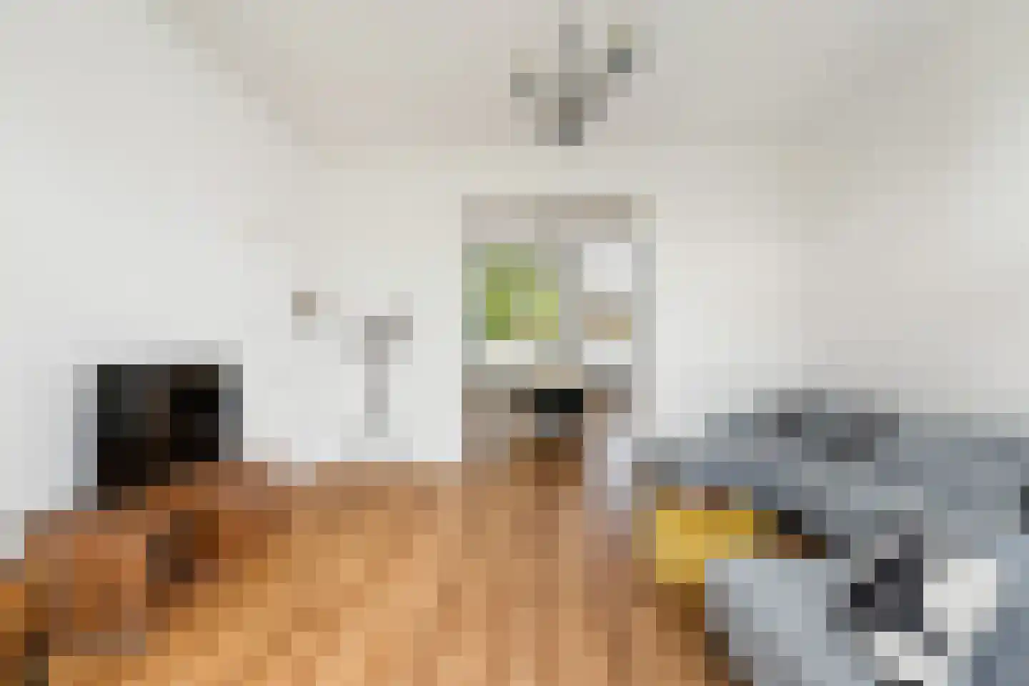 Adriaen van Ostadelaan 56 BS Utrecht thumbnail 10