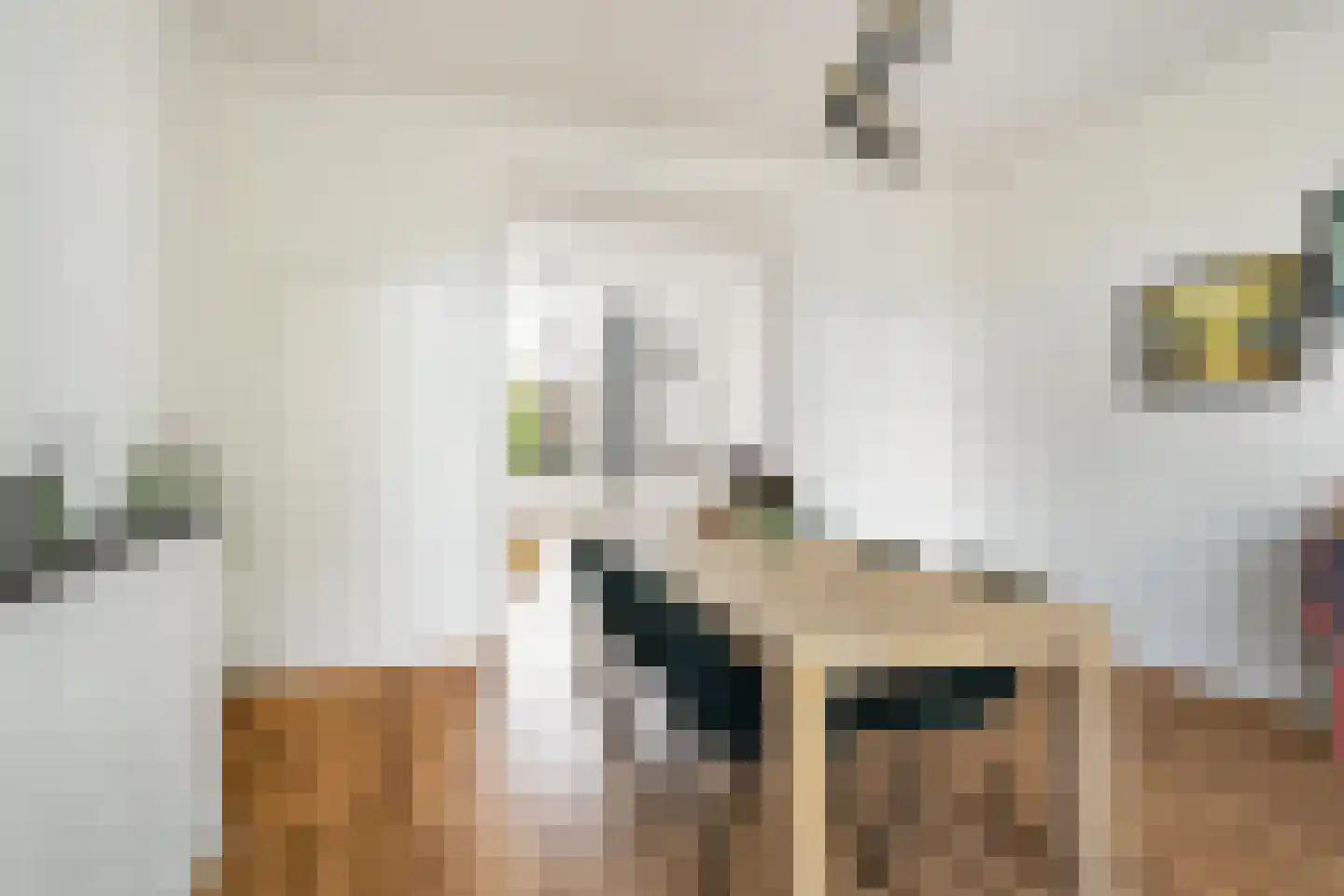 Adriaen van Ostadelaan 56 BS Utrecht thumbnail 12