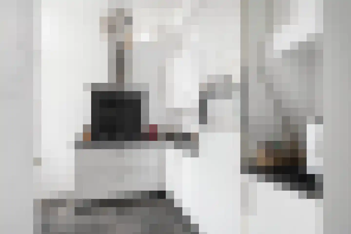 Adriaen van Ostadelaan 56 BS Utrecht thumbnail 14