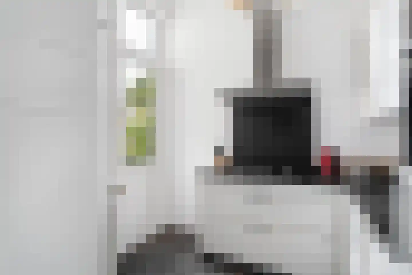 Adriaen van Ostadelaan 56 BS Utrecht thumbnail 15