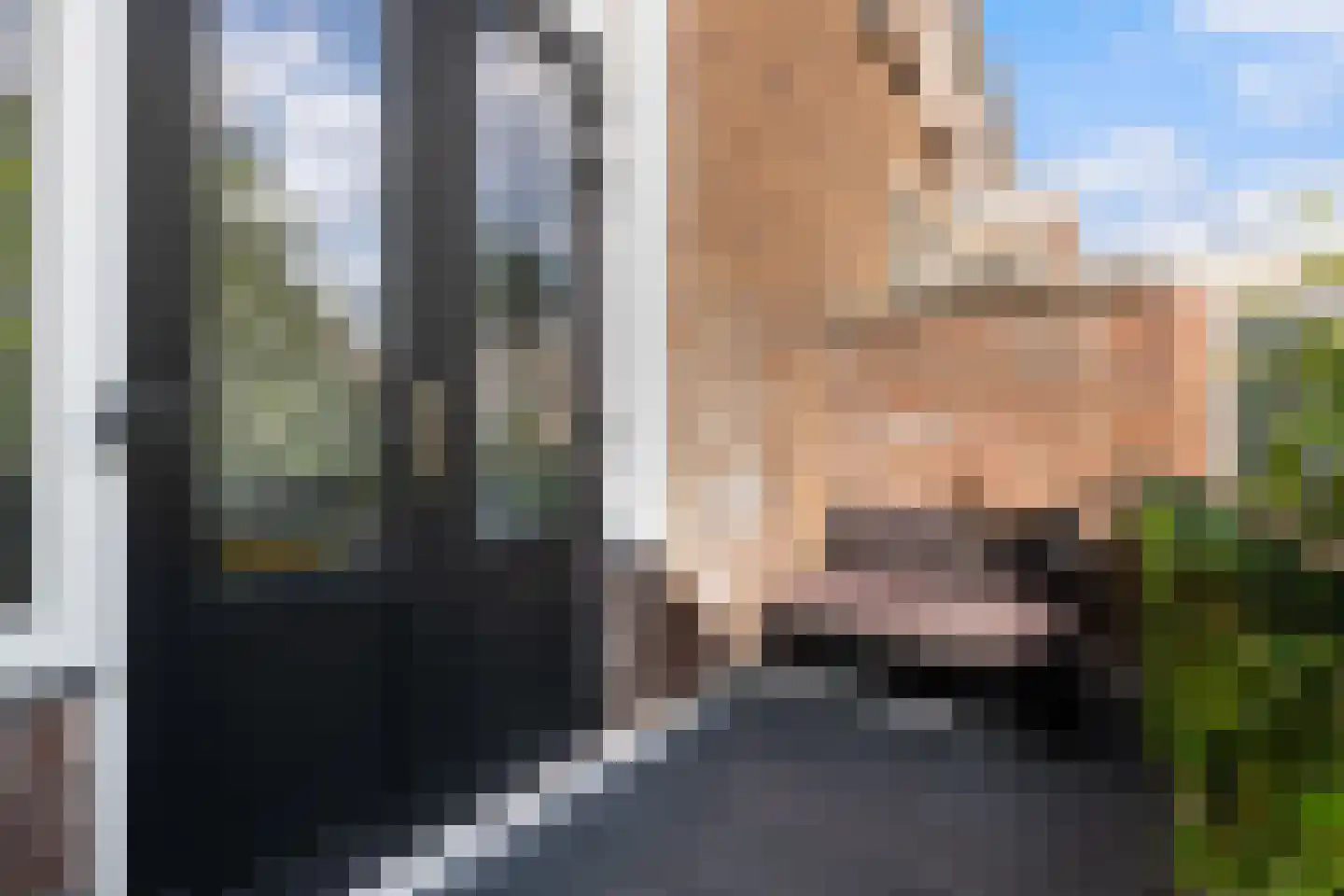 Adriaen van Ostadelaan 56 BS Utrecht thumbnail 18