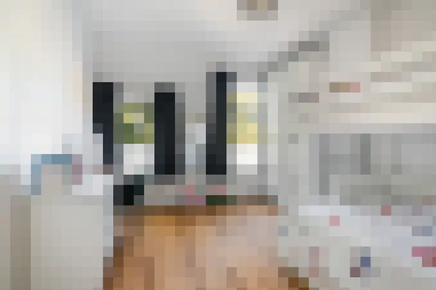 Adriaen van Ostadelaan 56 BS Utrecht thumbnail 27