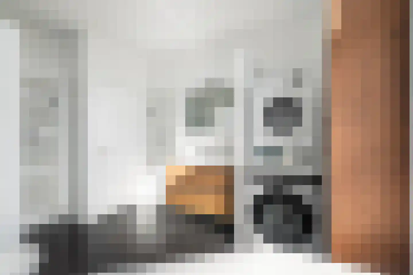 Adriaen van Ostadelaan 56 BS Utrecht thumbnail 31
