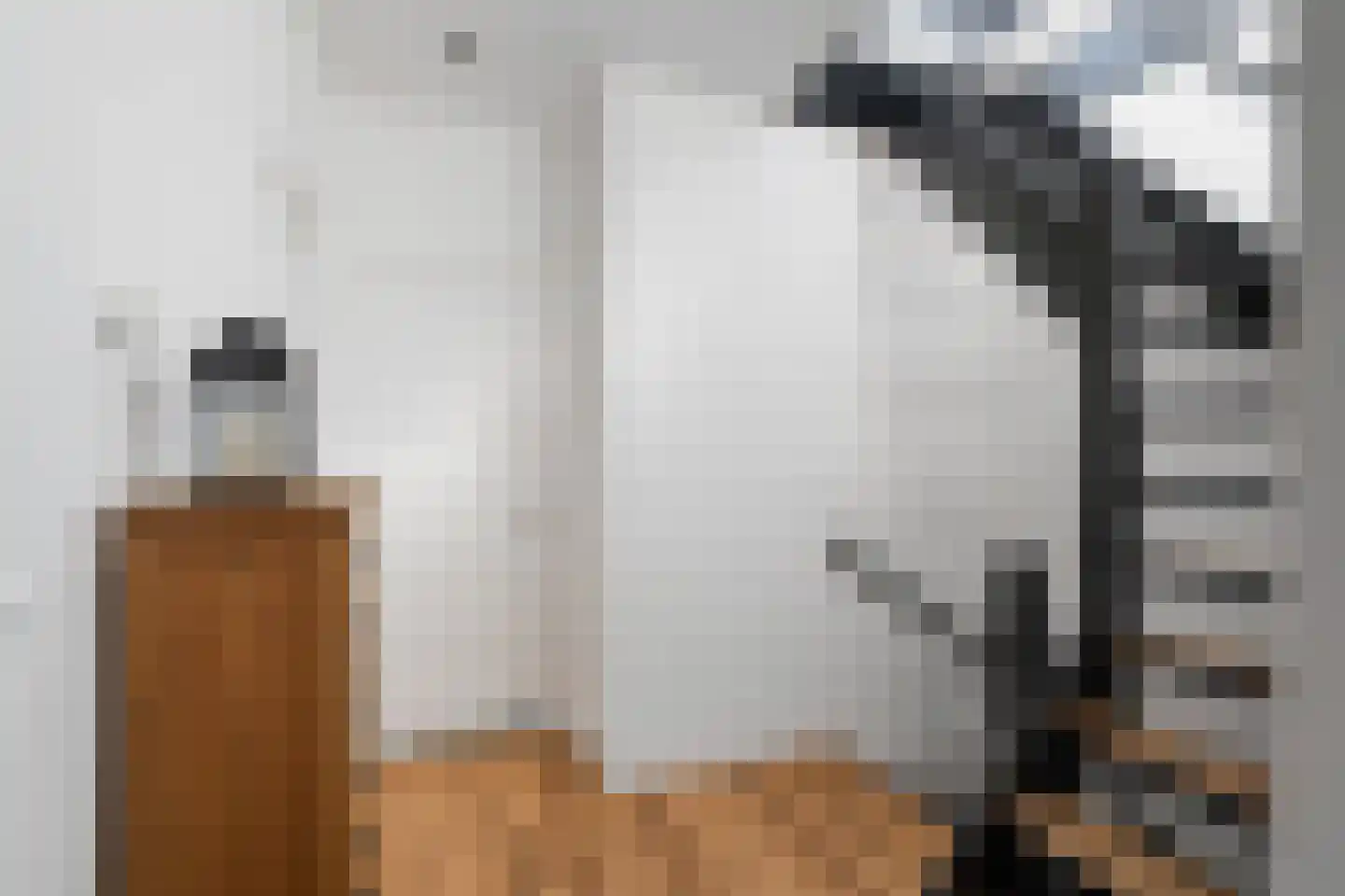Adriaen van Ostadelaan 56 BS Utrecht thumbnail 34