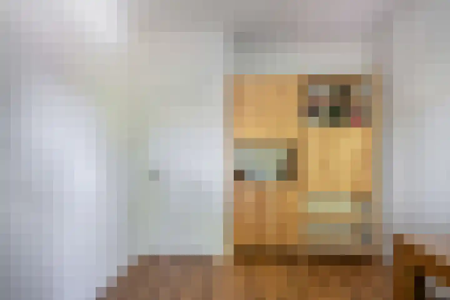 Adriaen van Ostadelaan 56 BS Utrecht thumbnail 37