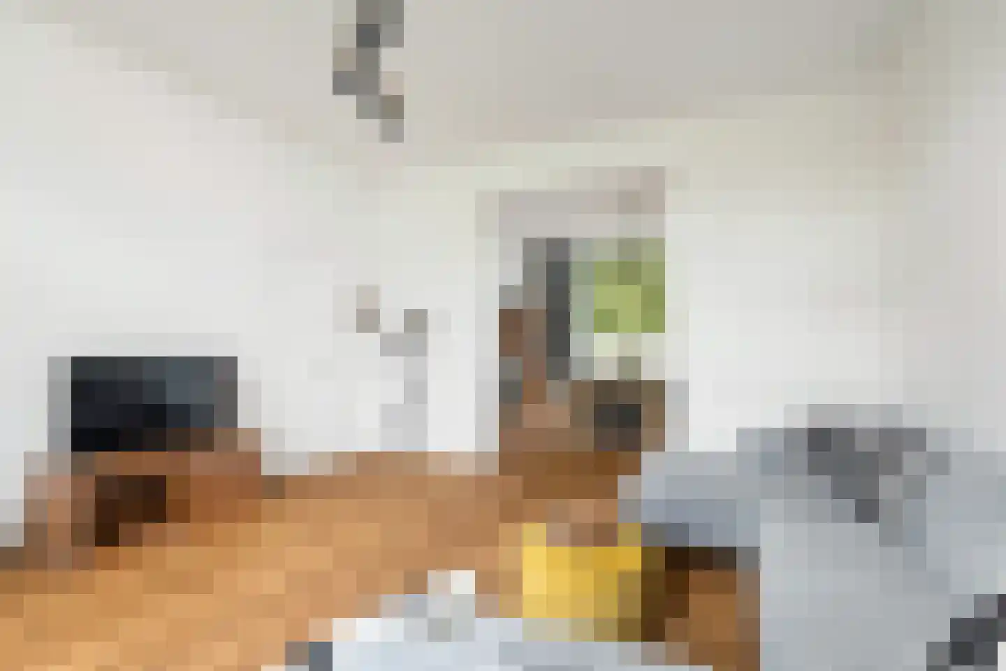 Adriaen van Ostadelaan 56 BS Utrecht thumbnail 4